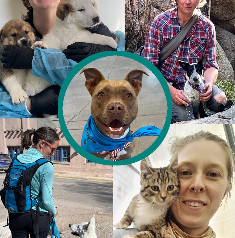 Montage of images of people with pets
