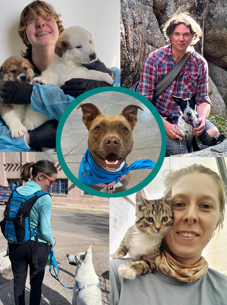 Montage of images of people with pets