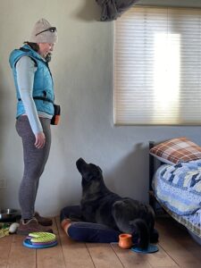 Woman looking down at dog sitting